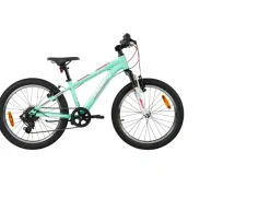 Ken Black 20 Inch Team FTB Mountain Bike Mint| Bikes & Bike Accessories