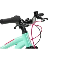 Ken Black 20 Inch Team FTB Mountain Bike Mint| Bikes & Bike Accessories