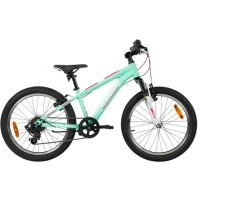 Ken Black 20 Inch Team Mountain Bike in Mint and Pink| Bikes & Bike Accessories