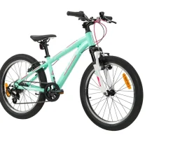 Ken Black 20 Inch Team Mountain Bike in Mint and Pink| Bikes & Bike Accessories