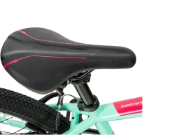 Ken Black 20 Inch Team Mountain Bike in Mint and Pink| Bikes & Bike Accessories