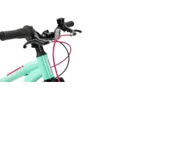 Ken Black 20 Inch Team Mountain Bike in Mint and Pink| Bikes & Bike Accessories
