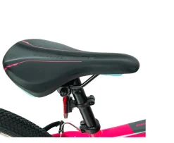 Ken Black 24 Inch Team Mountain Bike in Pink and Sky Blue| Bikes & Bike Accessories