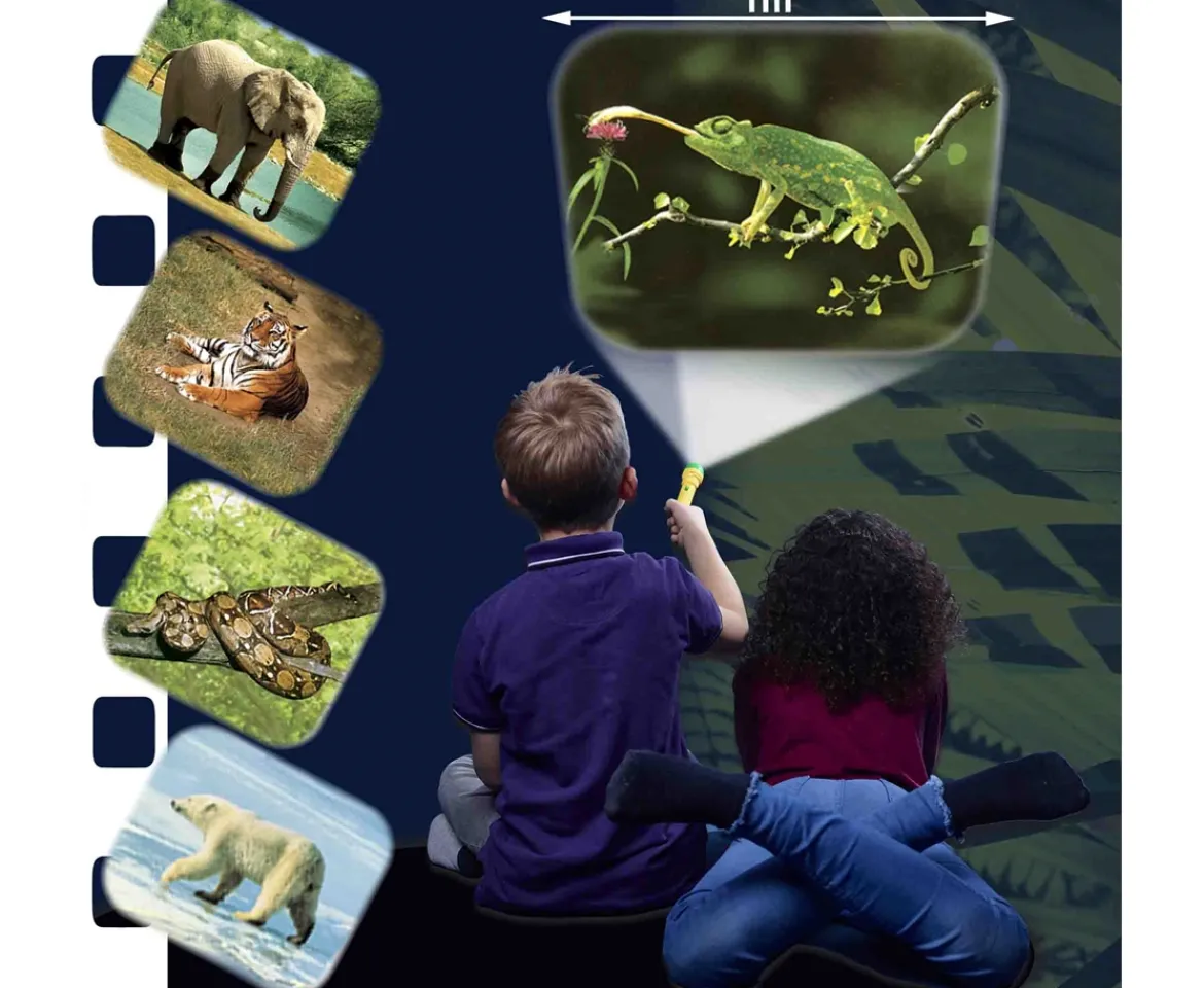 Ken Black Animal Projector Torch| Art & Crafts