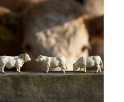 Ken Black Britains Charolais Cows| Farm Model Vehicles & Playsets