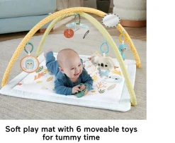 Ken Black Fisher-Price Simply Senses Newborn Gym| Baby Play
