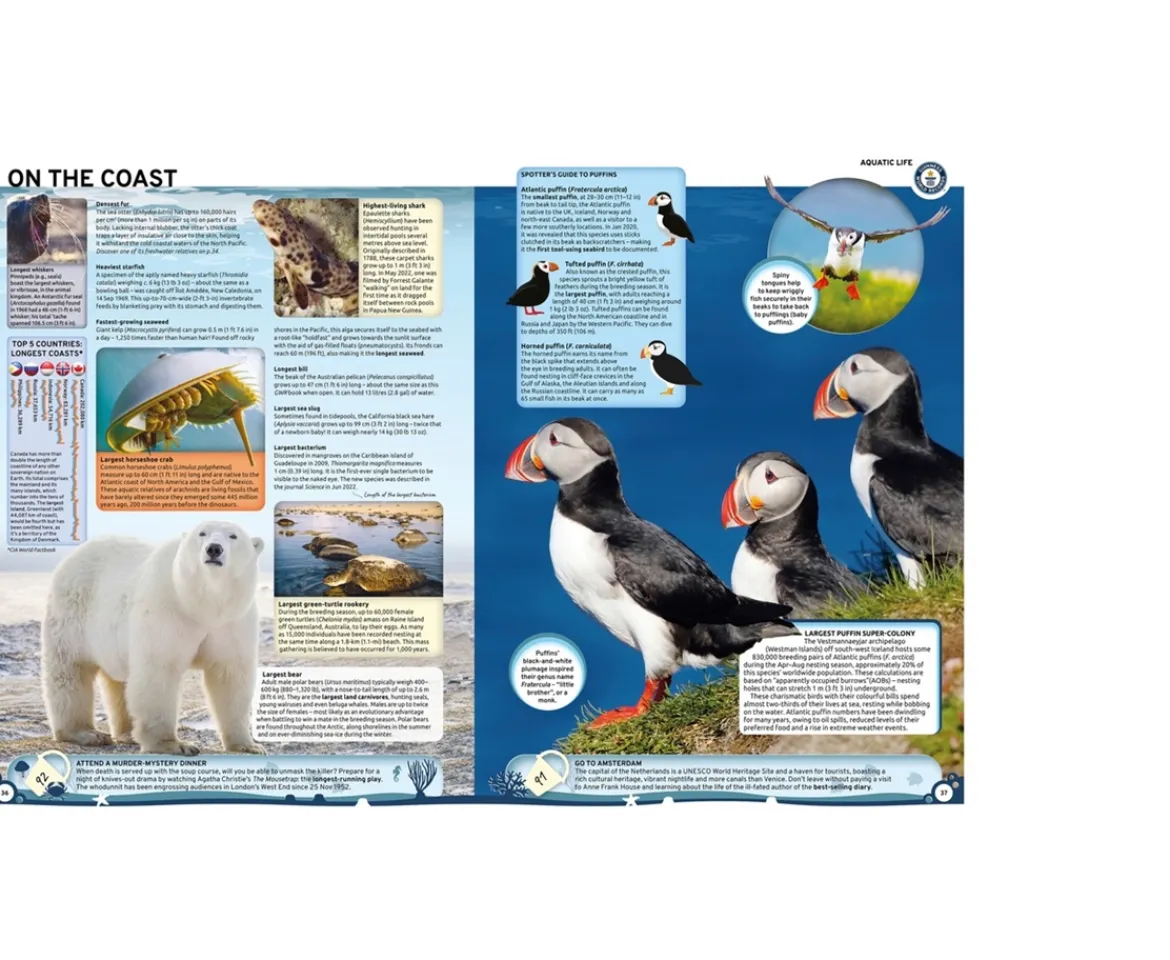 Ken Black Guinness World Records 2024 Hardback Book| Books