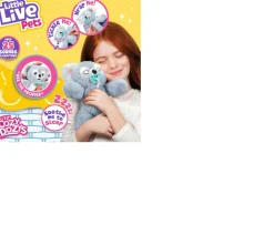 Ken Black Little Live Pets Cozy Dozy Koala| Interactive Toys