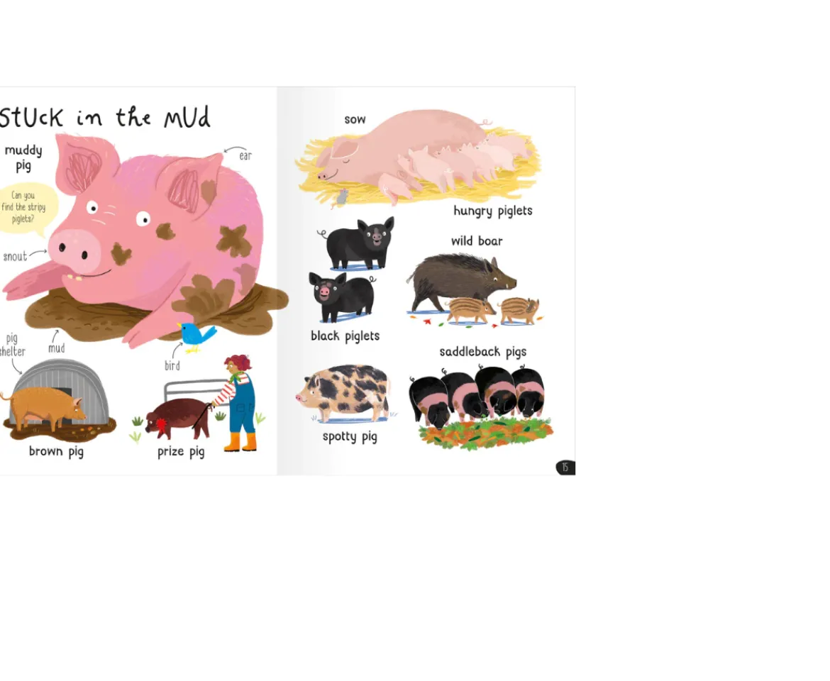 Ken Black My First 1000 Words| Books