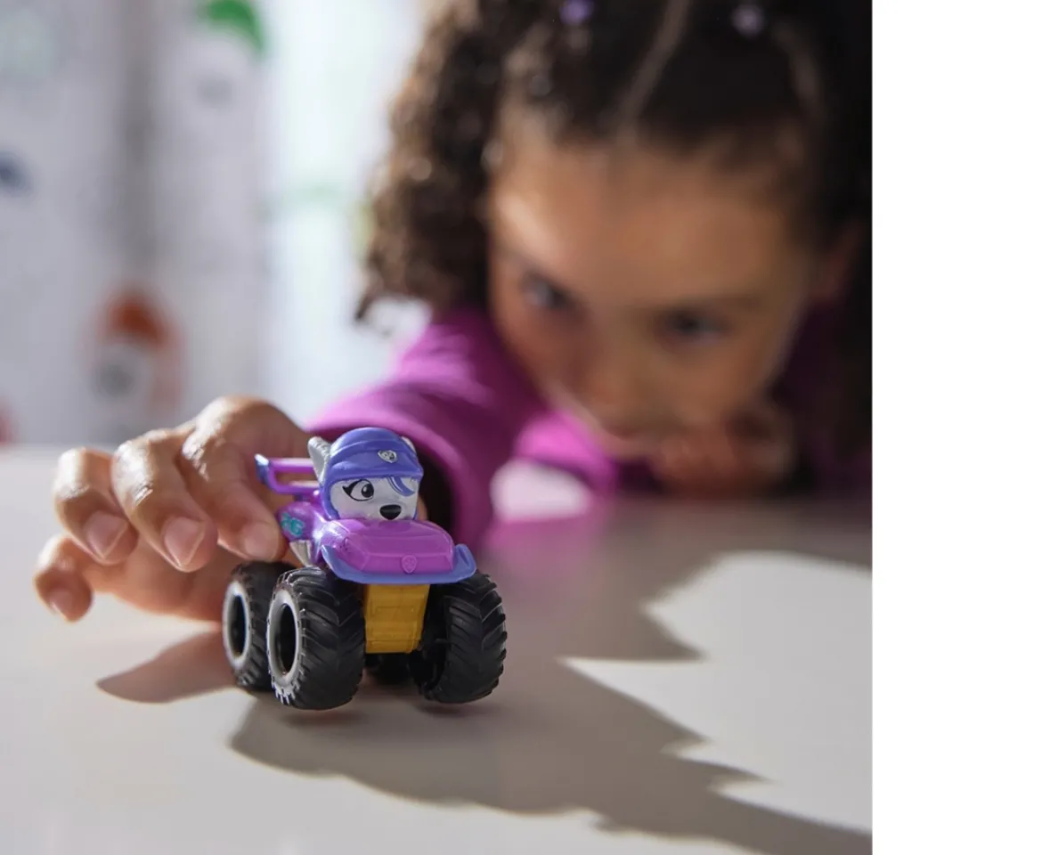 Ken Black PAW Patrol: Rescue Wheels Pup Squad Racers Gift Set with Roxi| Preschool & Electronic Learning