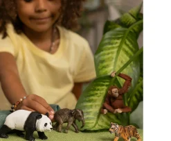 Ken Black schleich Wild Life 42736 Asia Starter Set| Action Figures & Playsets