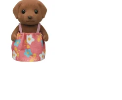 Ken Black Sylvanian Families Country Tree School Gift Set| Dolls & Dollhouses