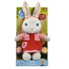 Ken Black Talking Lily Bobtail soft toy| Preschool & Electronic Learning