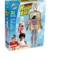 Ken Black Wild Science Hands-on Human Body| Science & Discovery