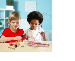 Ken Black Wild Science Hands-on Human Body| Science & Discovery