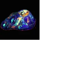 Ken Black Wild Science Rainbow Volcano Lava Lab| Science & Discovery