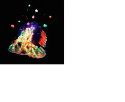 Ken Black Wild Science Rainbow Volcano Lava Lab| Science & Discovery