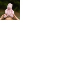 Ken Black World's Softest Plush 25cm Pink Unicorn| Soft Toys